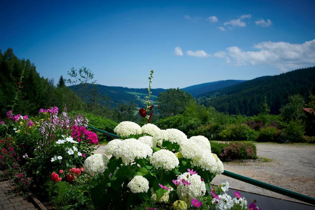 Hotel Waldschlossl นูเคอร์เคน ไบม์ ไฮลิเงน บลูท ภายนอก รูปภาพ