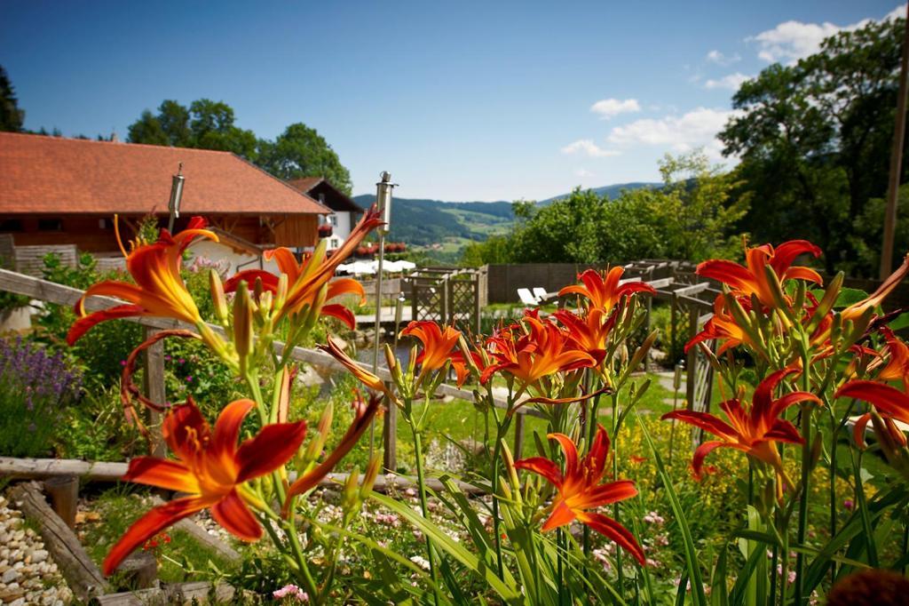 Hotel Waldschlossl นูเคอร์เคน ไบม์ ไฮลิเงน บลูท ภายนอก รูปภาพ